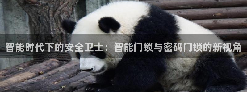 金年会平台登陆：智能时代下的安全卫士：智能门锁与密码门锁的新