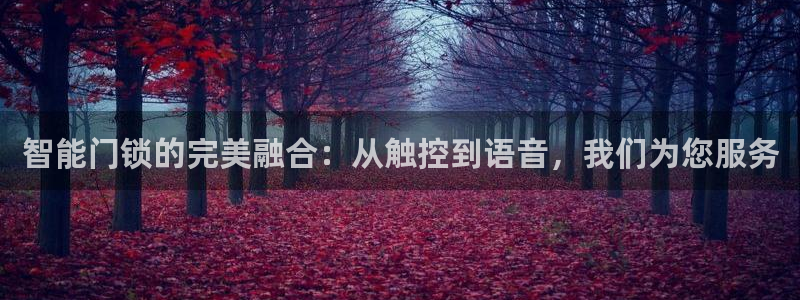 金年会平台是不是大台子：智能门锁的完美融合：从触控到语音，我