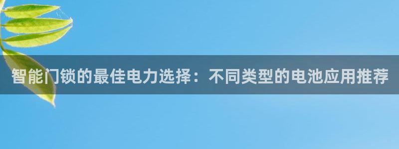 金年会是正规的吗：智能门锁的最佳电力选择：不同类型的电池应用