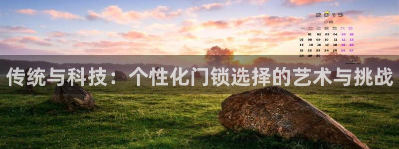 体育金年会：传统与科技：个性化门锁选择的艺术与挑战