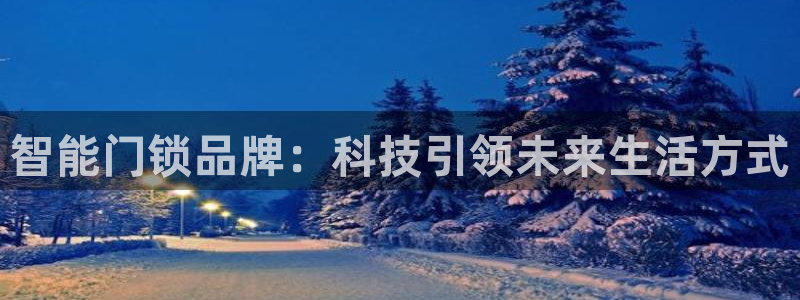 金 金年会：智能门锁品牌：科技引领未来生活方式