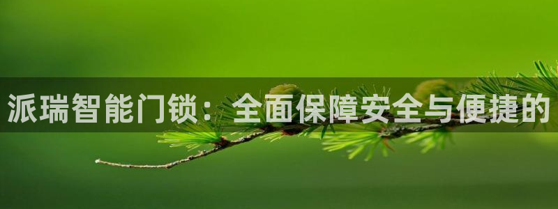 金年会电子：派瑞智能门锁：全面保障安全与便捷的