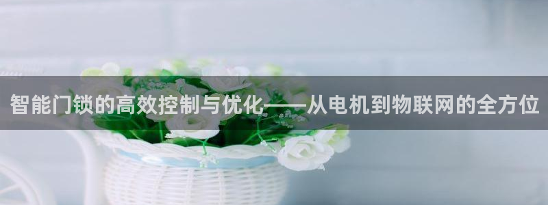 金年会体育官方网站入口：智能门锁的高效控制与优化——从电机到