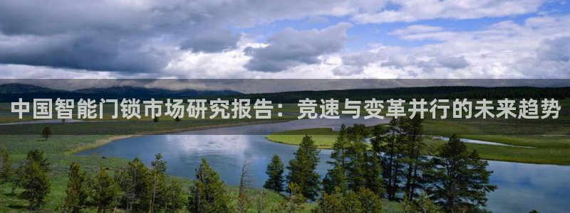 金年会体育娱乐：中国智能门锁市场研究报告：竞速与变革并行的未