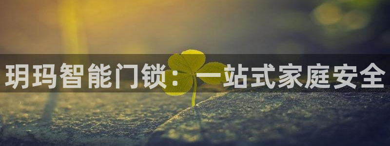 金帆年会2017：玥玛智能门锁：一站式家庭安全