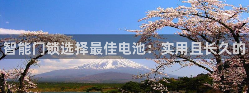 金年会 信誉至上：智能门锁选择最佳电池：实用且长久的