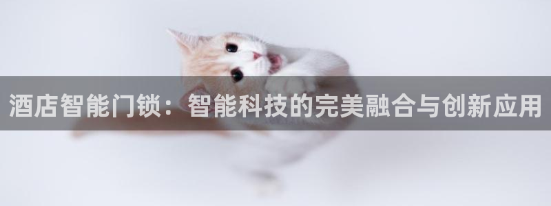金年会是正规平台吗：酒店智能门锁：智能科技的完美融合与创新应