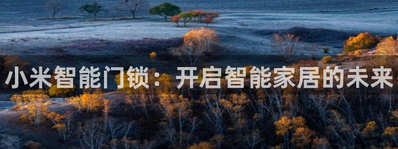 金年会足彩：小米智能门锁：开启智能家居的未来