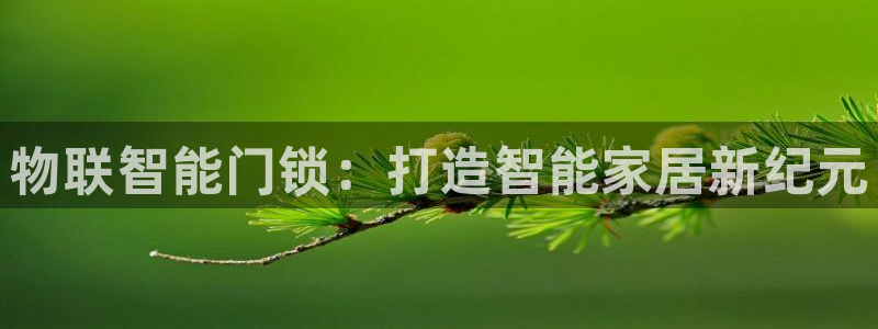 金年会金字招牌信誉：物联智能门锁：打造智能家居新纪元