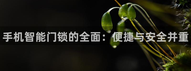 金年会体育平台入口：手机智能门锁的全面：便捷与安全并重