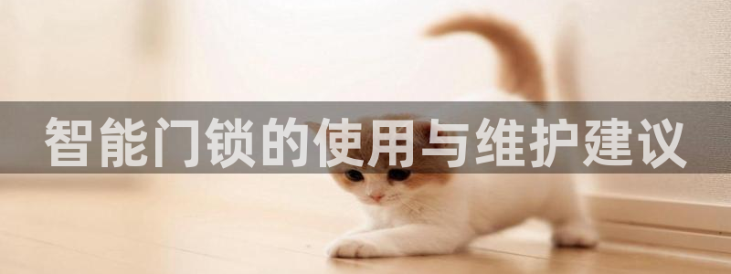 金年会娱乐官网：智能门锁的使用与维护建议