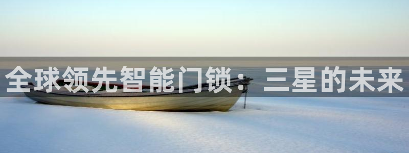 体育金年会：全球领先智能门锁：三星的未来
