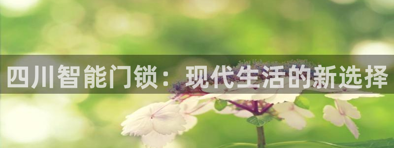 金年会活动：四川智能门锁：现代生活的新选择