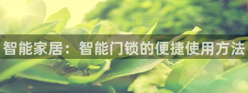 金年会吧：智能家居：智能门锁的便捷使用方法