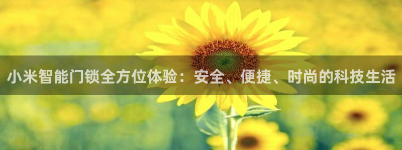 金年会电子：小米智能门锁全方位体验：安全、便捷、时尚的科技生