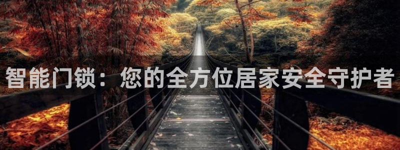 金年会提款：智能门锁：您的全方位居家安全守护者