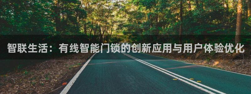 金诺利年会：智联生活：有线智能门锁的创新应用与用户体验优化