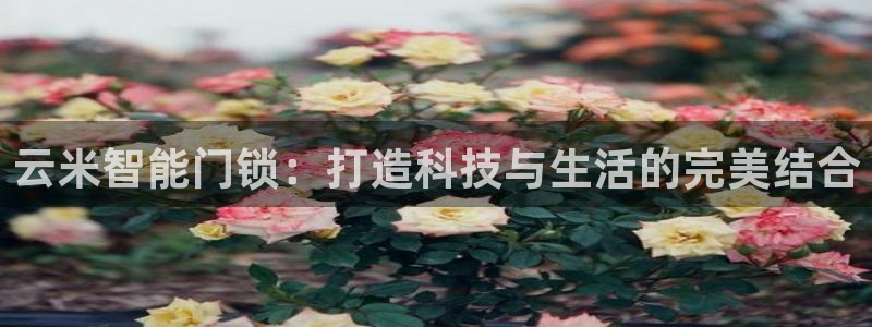 金年会金字招牌信誉：云米智能门锁：打造科技与生活的完美结合