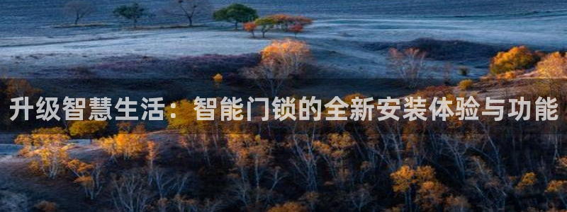 金年会手机app：升级智慧生活：智能门锁的全新安装体验与功能