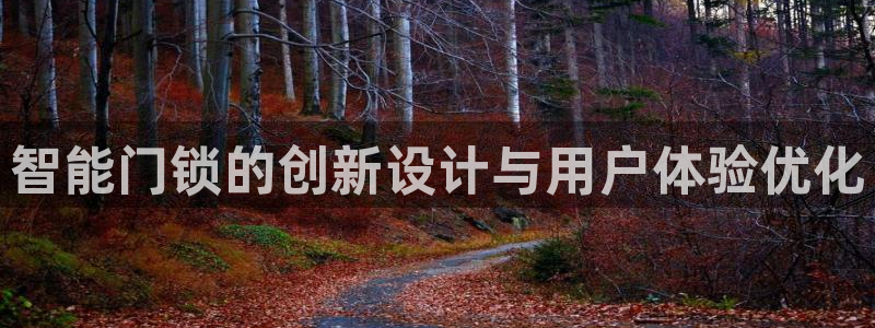 金年会嗨聊app下载：智能门锁的创新设计与用户体验优化