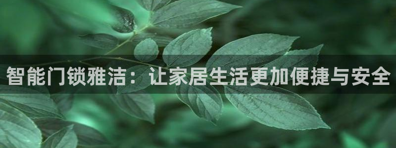 金年会登录入口：智能门锁雅洁：让家居生活更加便捷与安全