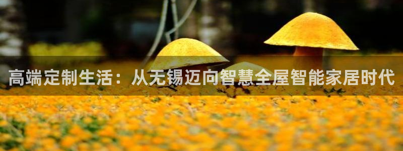 金年会品牌：高端定制生活：从无锡迈向智慧全屋智能家居时代