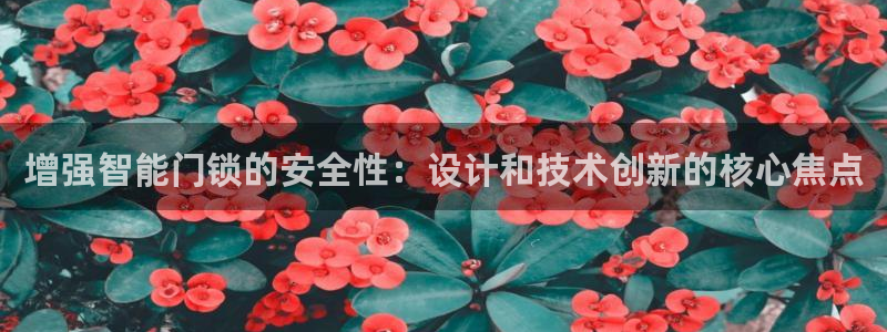金年会平台：增强智能门锁的安全性：设计和技术创新的核心焦点