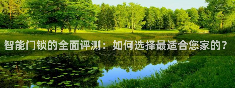 体育金年会：智能门锁的全面评测：如何选择最适合您家的？