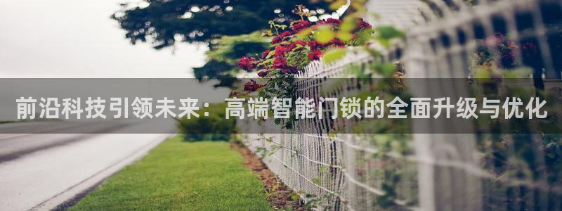 金年会首页登录：前沿科技引领未来：高端智能门锁的全面升级与优