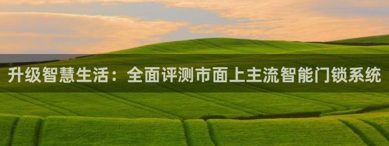 金年会娱乐提现：升级智慧生活：全面评测市面上主流智能门锁系统