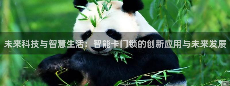 金年会体育：未来科技与智慧生活：智能卡门锁的创新应用与未来发