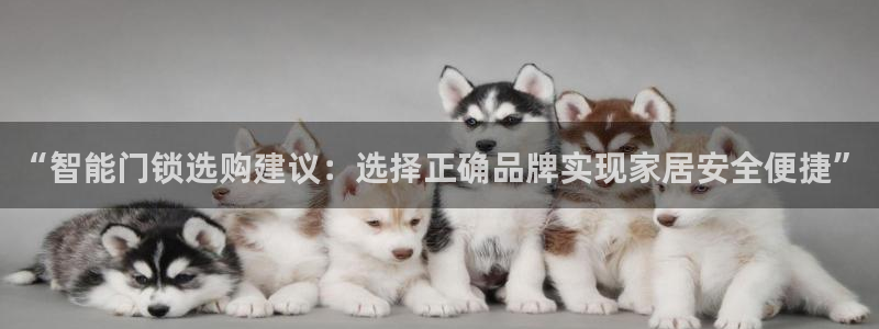 金年会官网：“智能门锁选购建议：选择正确品牌实现家居安全便捷