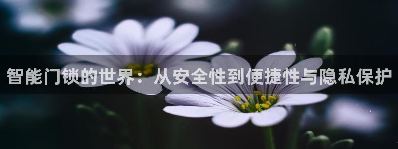 金年会平台出款：智能门锁的世界：从安全性到便捷性与隐私保护