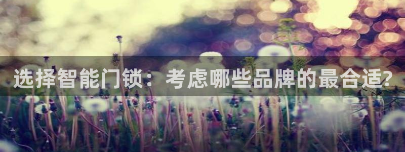 金年会中国金年会登录：选择智能门锁：考虑哪些品牌的最合适?