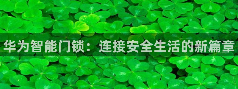 金实年会：华为智能门锁：连接安全生活的新篇章