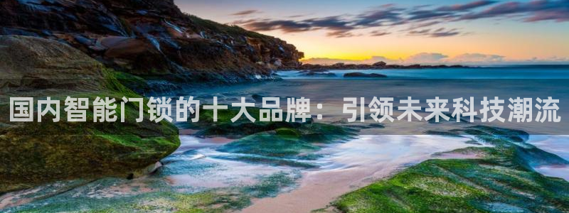 金联金年会：国内智能门锁的十大品牌：引领未来科技潮流