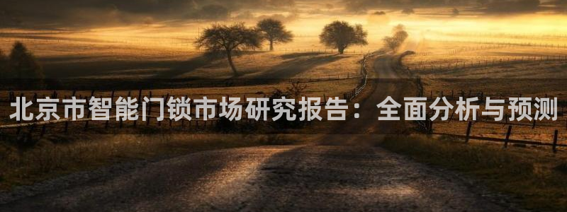 金年会平台是不是大台子：北京市智能门锁市场研究报告：全面分析