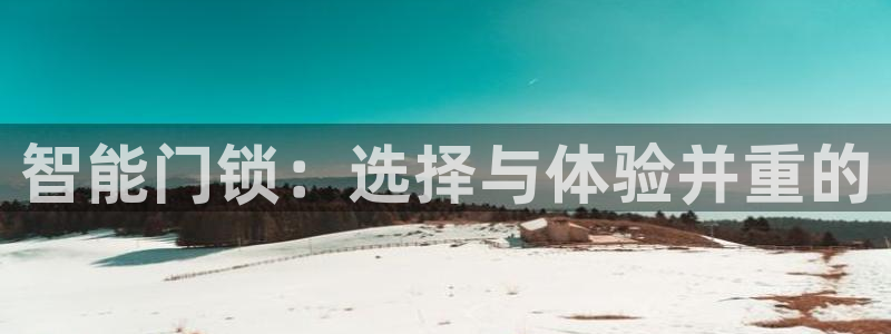 金年会网页：智能门锁：选择与体验并重的