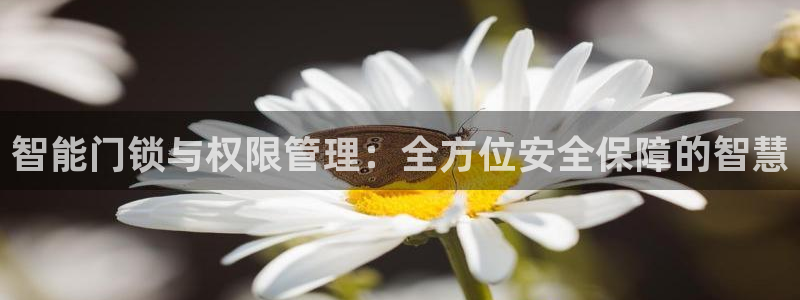 澳门金年会棋牌：智能门锁与权限管理：全方位安全保障的智慧