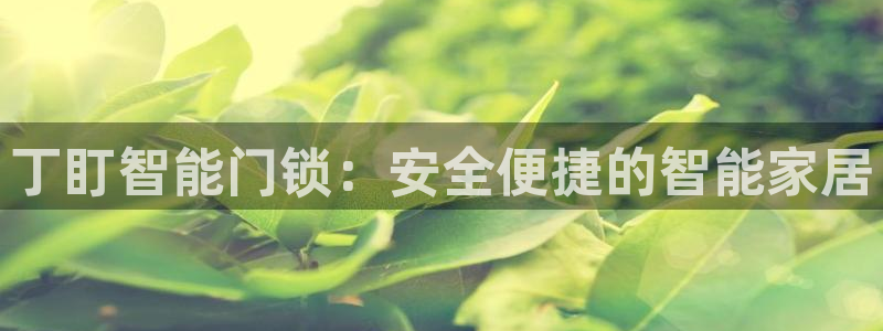 金实年会：丁盯智能门锁：安全便捷的智能家居