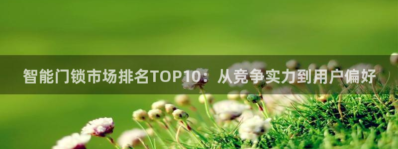 金金年会：智能门锁市场排名TOP10：从竞争实力到用户偏好