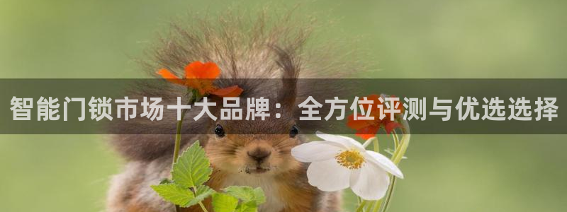 金年会官网登入