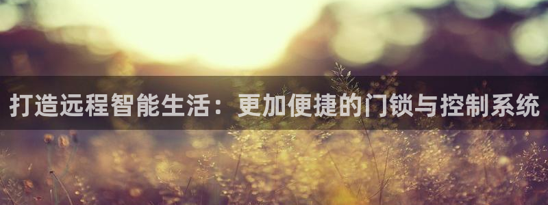 金靖年会：打造远程智能生活：更加便捷的门锁与控制系统