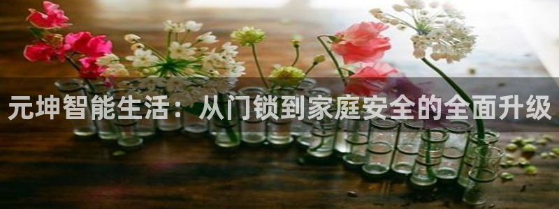 金年会是真的吗：元坤智能生活：从门锁到家庭安全的全面升级