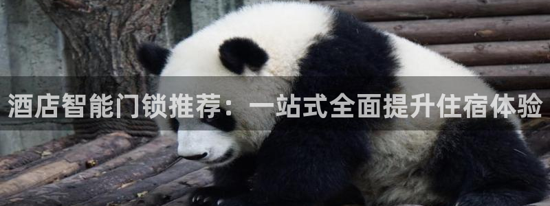 金年会娱乐：酒店智能门锁推荐：一站式全面提升住宿体验