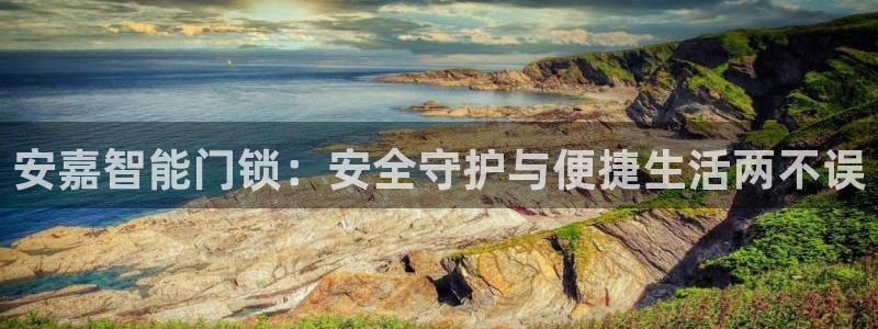 金年会注册官网：安嘉智能门锁：安全守护与便捷生活两不误