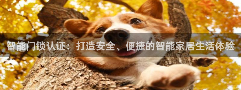 金年会游戏官网