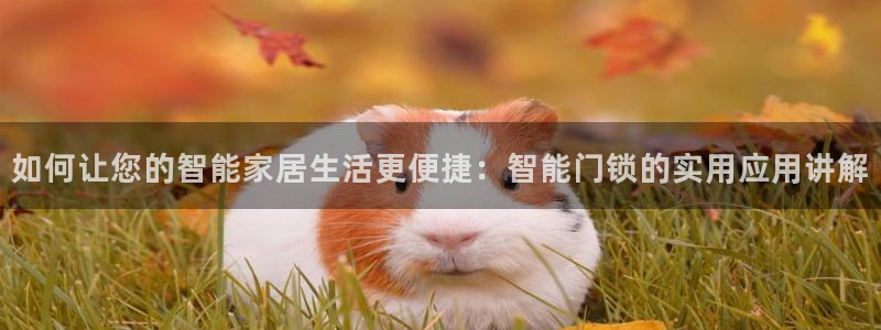 金年会官方在线登录：如何让您的智能家居生活更便捷：智能门锁的
