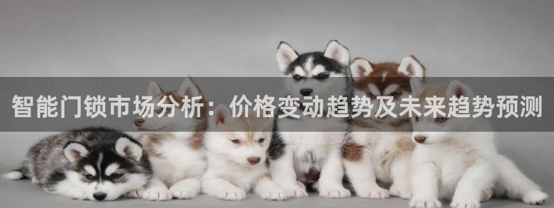 金年会入口：智能门锁市场分析：价格变动趋势及未来趋势预测