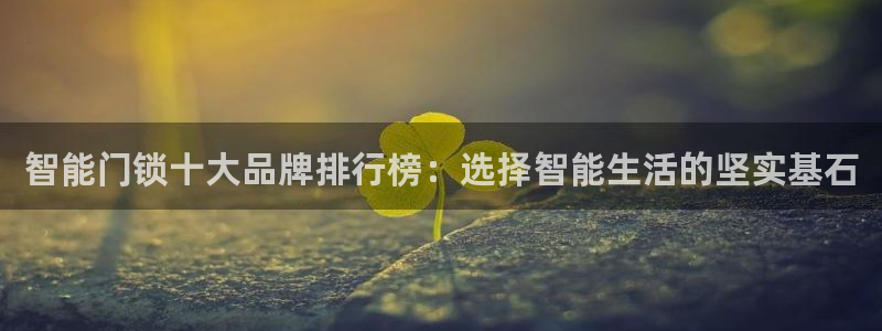 金年会官网入口：智能门锁十大品牌排行榜：选择智能生活的坚实基